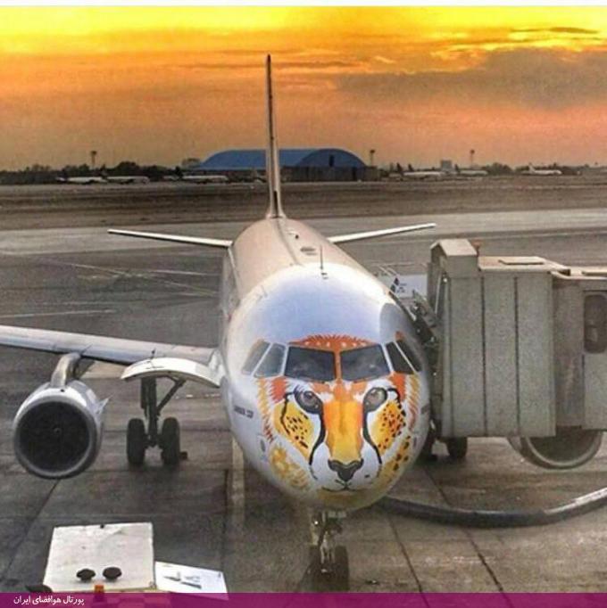 نقش یوزپلنگ ایرانی بر روی هواپیما