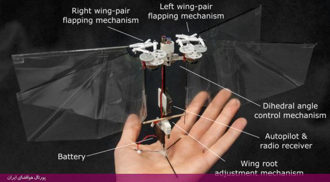 ساخت روبات پرنده خودمختار با الهام از مگس میوه در دانشگاه دلفت هلند