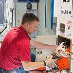 Expedition 42/43 Crew Trains for Station Mission
